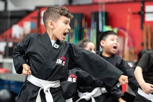 Kempo Karate (for Kids, Teens, and Adults)